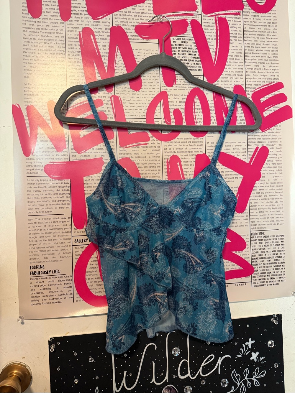 Y2K Blue Paisley Sheer Mesh Camisolo Top Brandy Melville